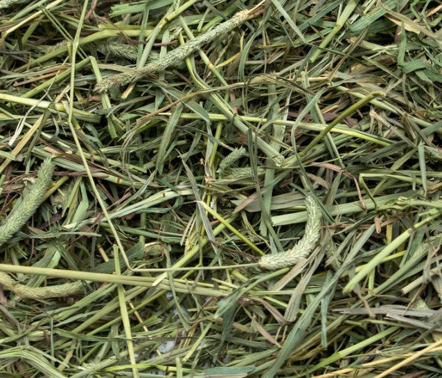 Rabbit Hole Hay - Ultra Premium Medium/2nd Cut 5lbs Bundle